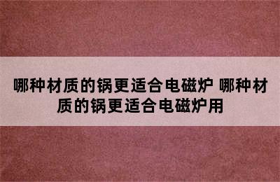 哪种材质的锅更适合电磁炉 哪种材质的锅更适合电磁炉用